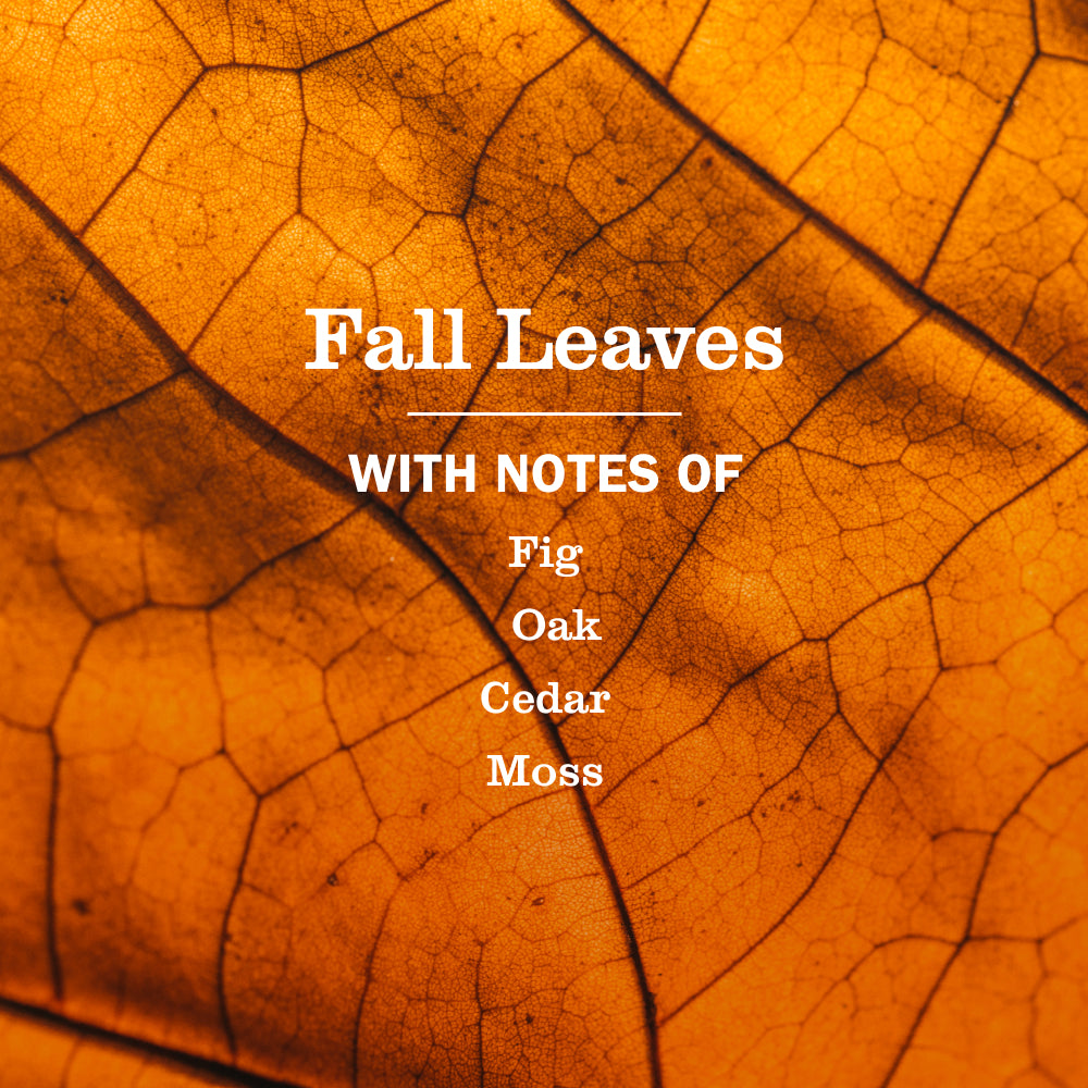 Fall Leaves Plug In Scented Oil Refill. 2-Pack - Image 4