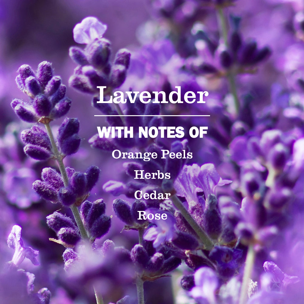 Lavender Plug In Scented Oil Refill. 4-Pack - Image 3