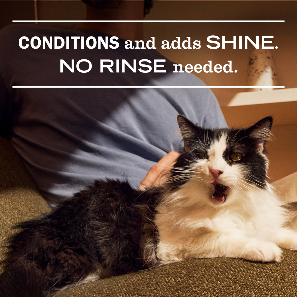 Cat Care Set - Image 7