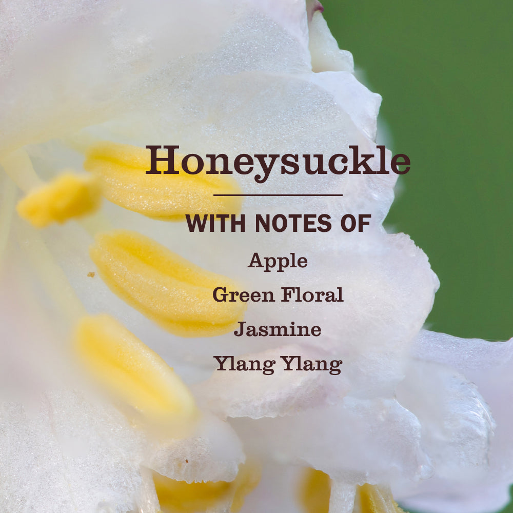 Honeysuckle Laundry Detergent - Image 3