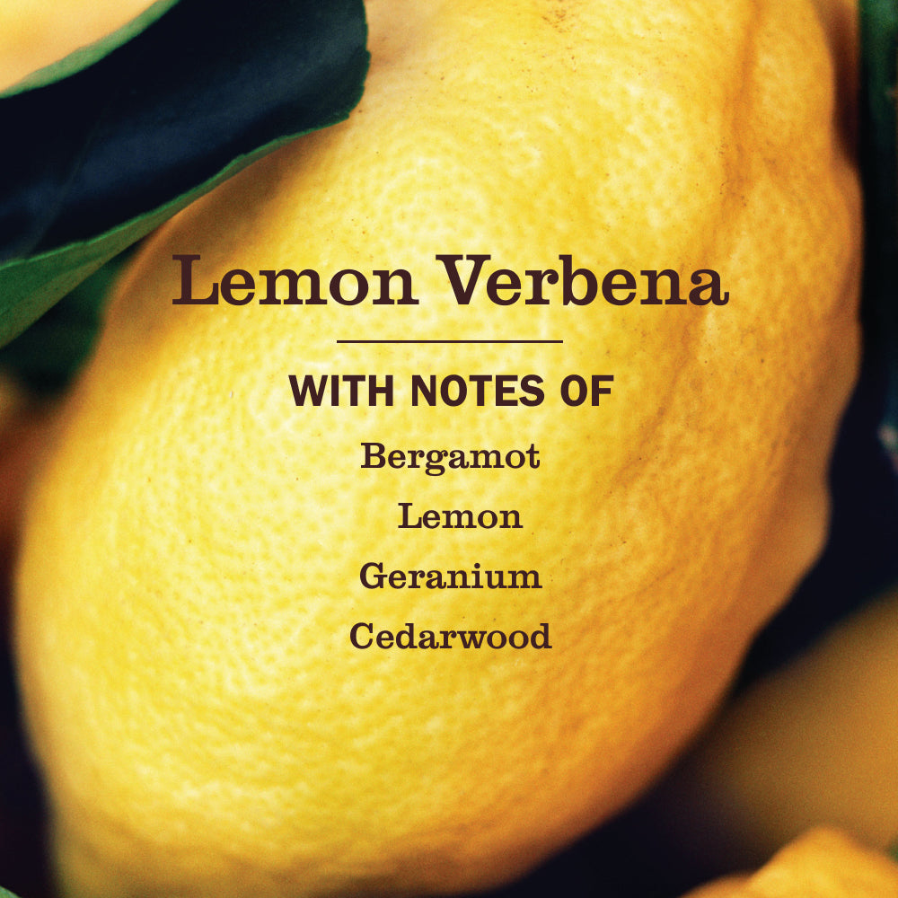 Lemon Verbena Laundry Detergent - Image 3