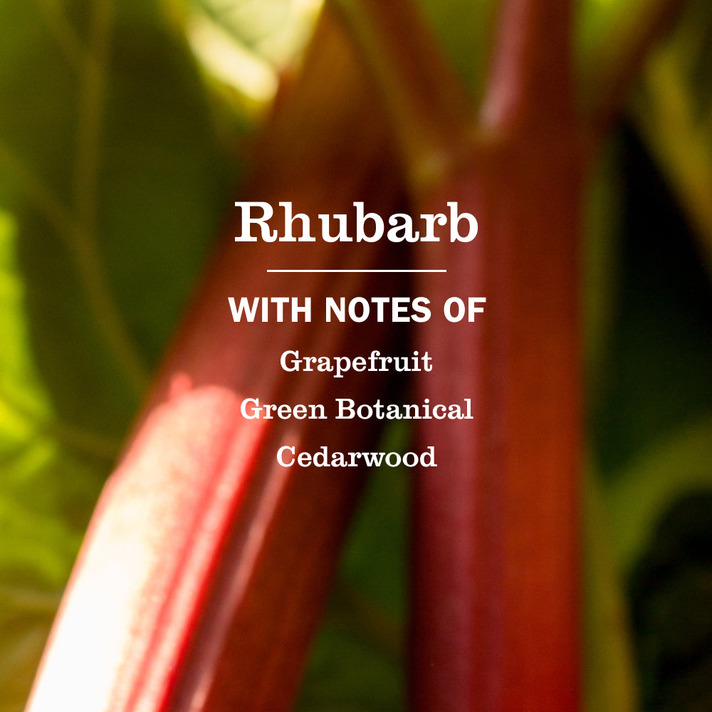 Rhubarb Liquid Hand Soap - Image 4